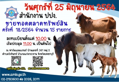 ปปง. ขายทอดตลาดม้า วัว และอุปกรณ์ 25 มิถุนายน นี้